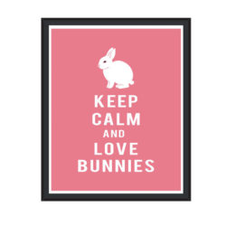 keep calm and love bunnies poster