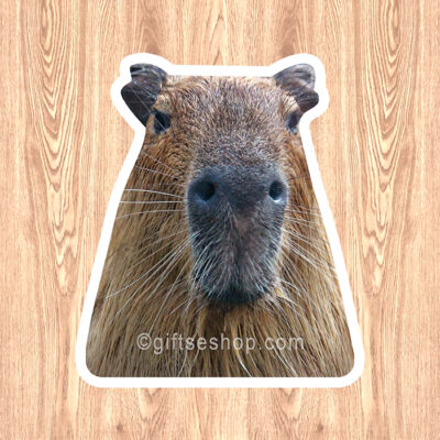 capybara sticker